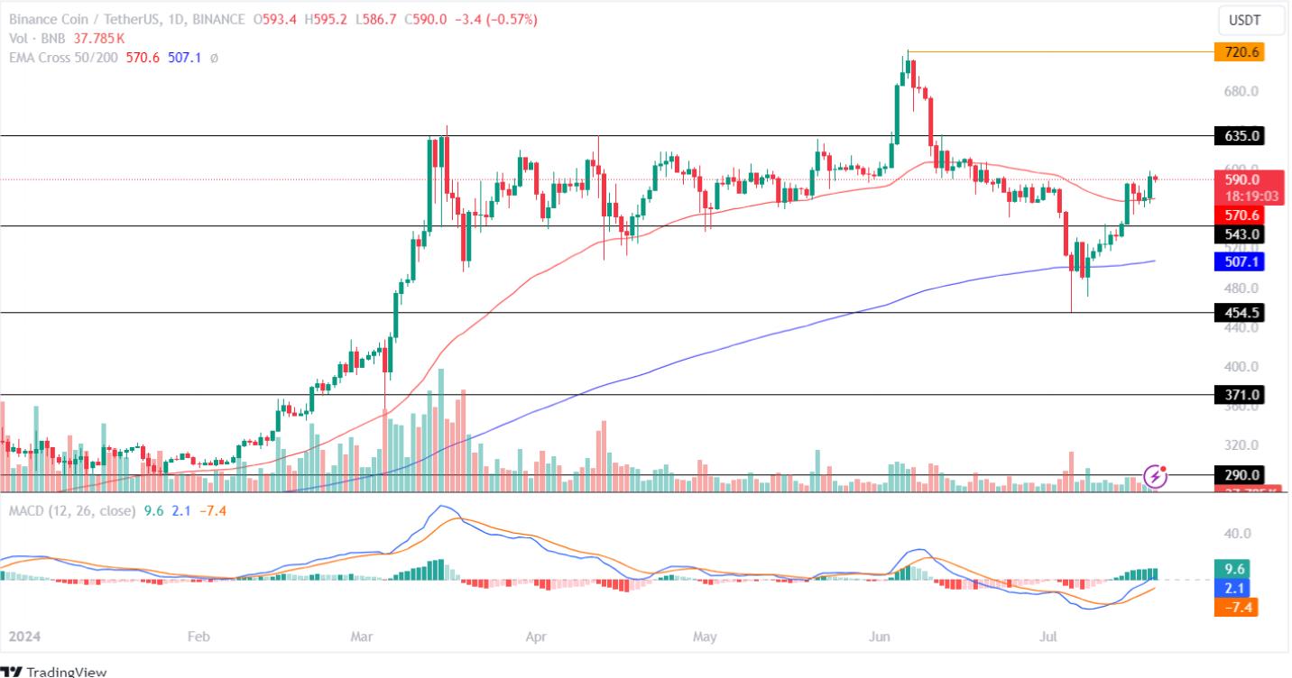 币市分析工具_币分析_分析SOL币的市场趋势:如何进行技术分析与价格预测