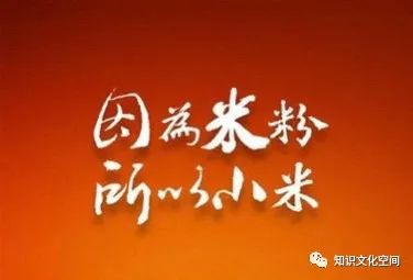 小米定位产品_小米手机价格定位分析_小米手机的定位与消费者选择分析