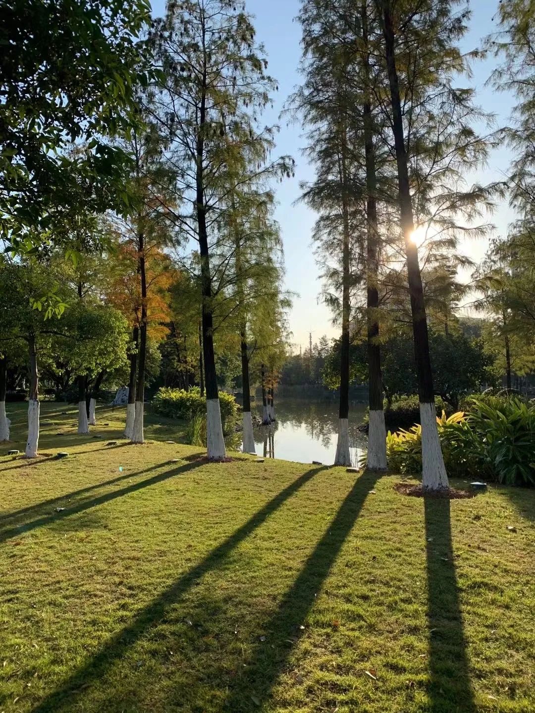 小米手机的定位与消费者选择分析_小米定位产品_小米手机价格定位分析