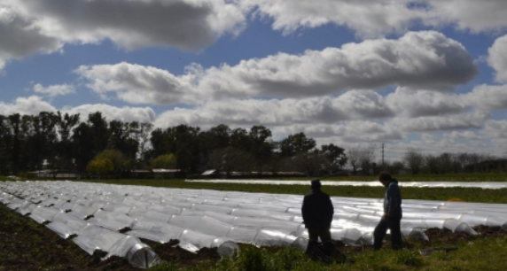 数字货币个人隐私_数字货币隐私_数字货币交易的隐私安全性分析