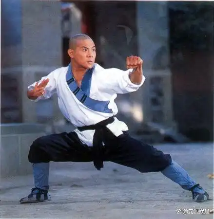 中华武术杰出贡献奖_武术教育家_元彪对武术教育的贡献