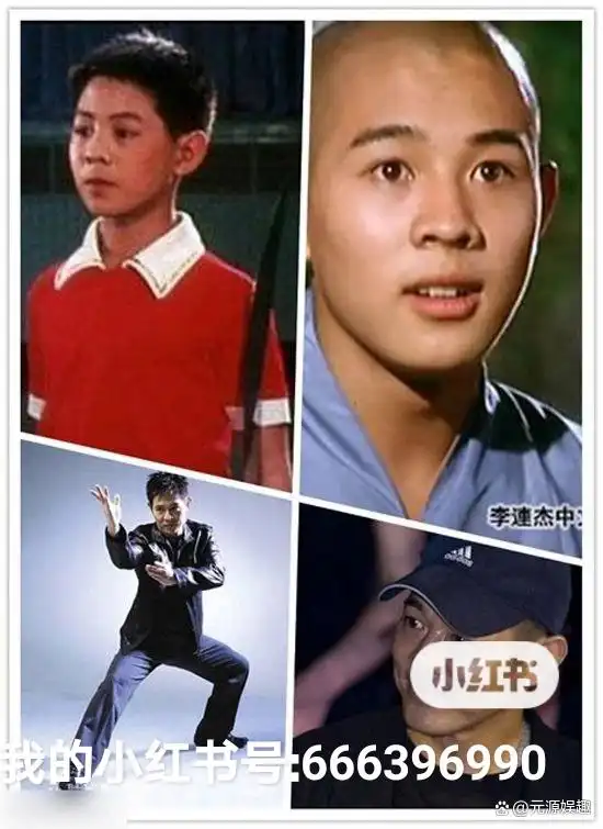 中华武术杰出贡献奖_武术教育家_元彪对武术教育的贡献