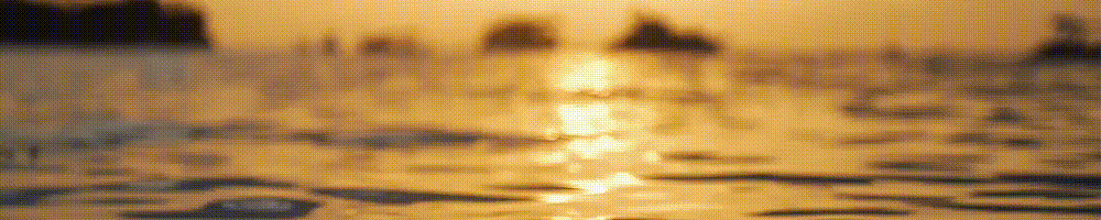 比特币受美国总统选举影响吗_比特币大选_美国总统大选之后，比特币将面临利好兑现风险？