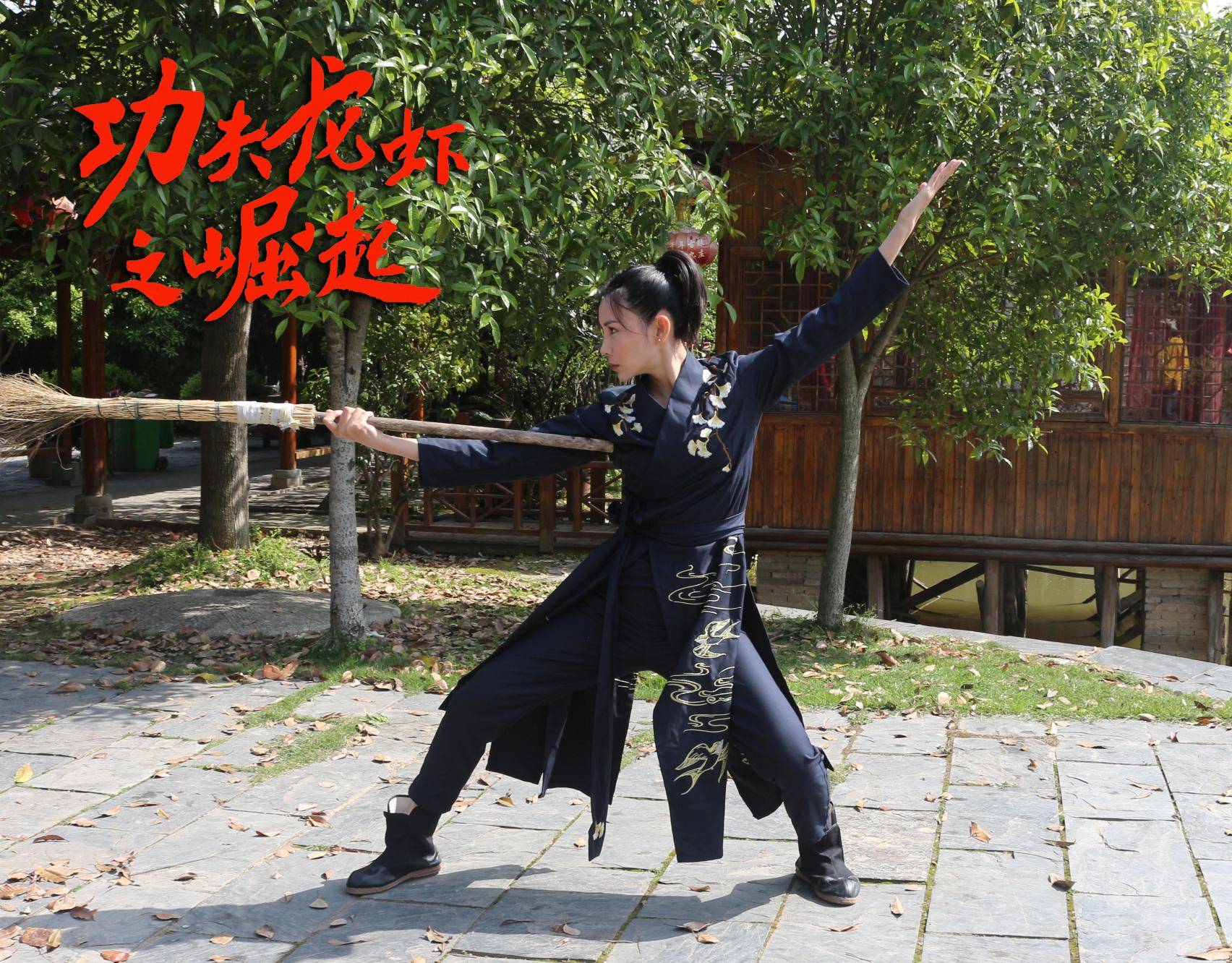 成龙电影崛起功夫中国演员_成龙与中国功夫电影的崛起_成龙电影功夫视频