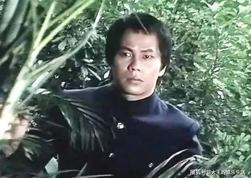 成龙与中国功夫电影的崛起_电影中国功夫在线播放成龙_成龙电影功夫视频