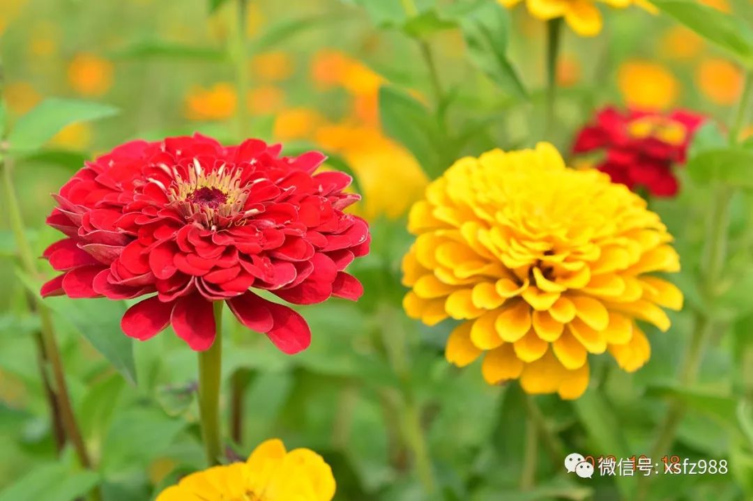 建立客户忠诚度计划的步骤_吕志和如何建立客户信任与忠诚_建立客户忠诚不是一件孤立