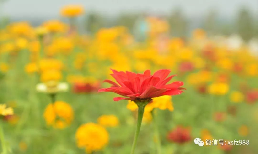 吕志和如何建立客户信任与忠诚_建立客户忠诚度计划的步骤_建立客户忠诚不是一件孤立