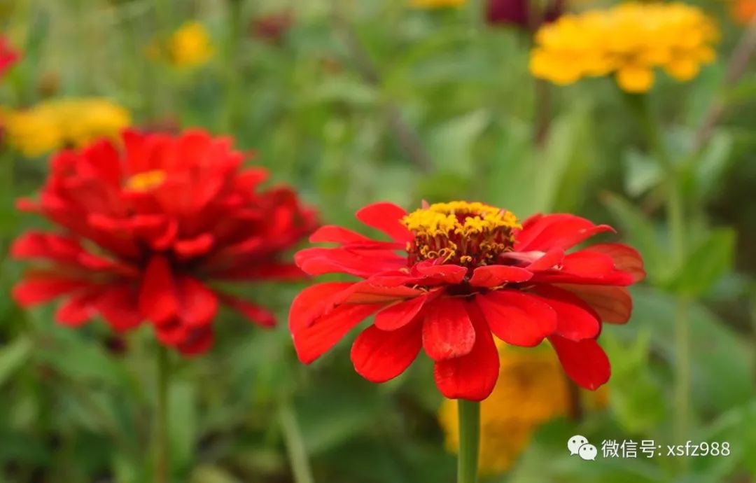 建立客户忠诚不是一件孤立_建立客户忠诚度计划的步骤_吕志和如何建立客户信任与忠诚