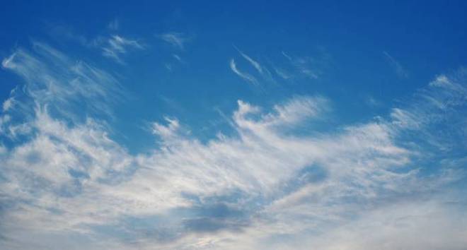 格力电器总裁董明珠所著_格力电器董明珠最新消息_董明珠停职审查后的格力电器,能否继续推动创新与转型?