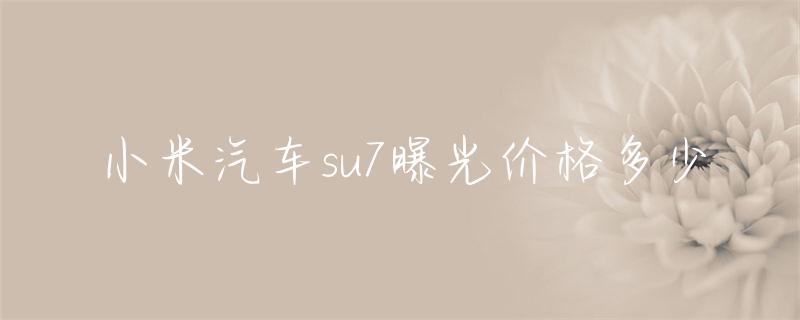 小米汽车的持续发展与续航策略_小米造车规划_小米进军新能源汽车战略分析