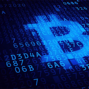 商户支持比特币付款是否违法_全球范围内比特币的接受度:哪些商家月以比特币支付_比特币支付接入