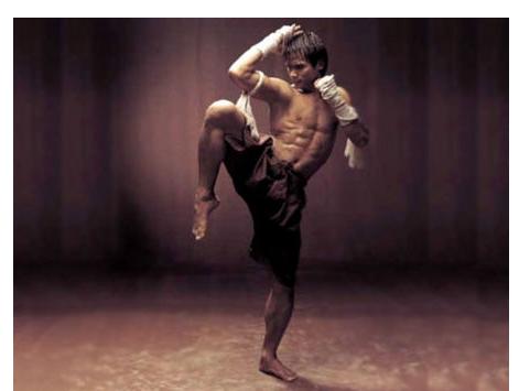 李小龙影响了全世界_李小龙在国际影坛的影响_李小龙电影成就