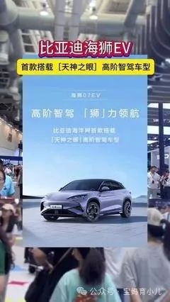 比亚迪海豚定位_电动汽车购车指南:比亚迪海鸥的市场定位_比亚迪海鸥什么时候上市