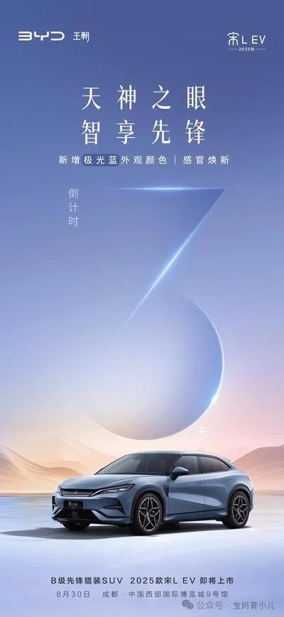 电动汽车购车指南:比亚迪海鸥的市场定位_比亚迪海豚定位_比亚迪海鸥什么时候上市