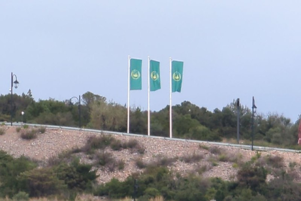 比特币集中_比特币社区模式_比特币的社区治理:如何通过集体决策推动发展