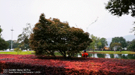 华为解析包_华为Mate系列手机的出色影像系统解析_华为系统分析