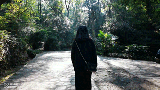 华为系统分析_华为解析包_华为Mate系列手机的出色影像系统解析