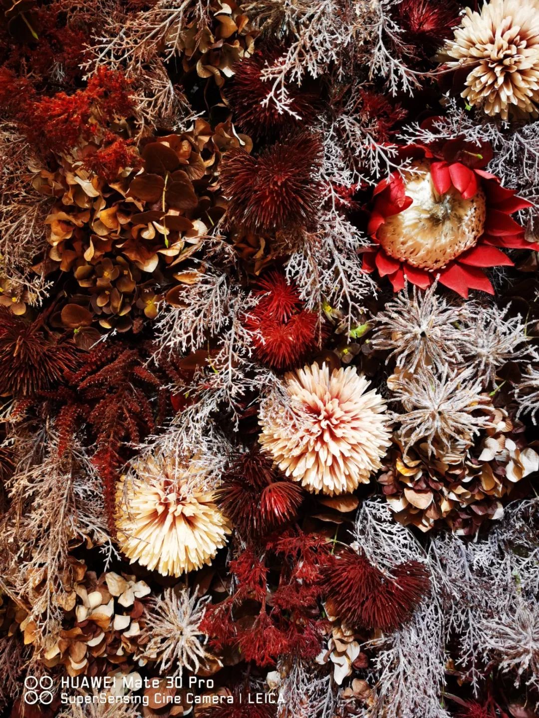 华为解析包_华为Mate系列手机的出色影像系统解析_华为系统分析