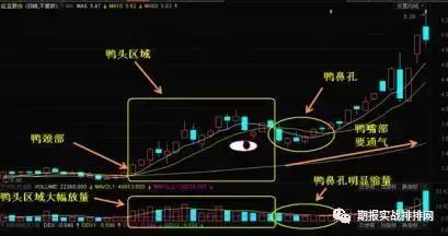 情绪冷静角_如何在Binance交易所APP中保持投资冷静 | 减少情绪波动的策略_冷静分析形势