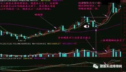 如何在Binance交易所APP中保持投资冷静 | 减少情绪波动的策略_冷静分析形势_情绪冷静角