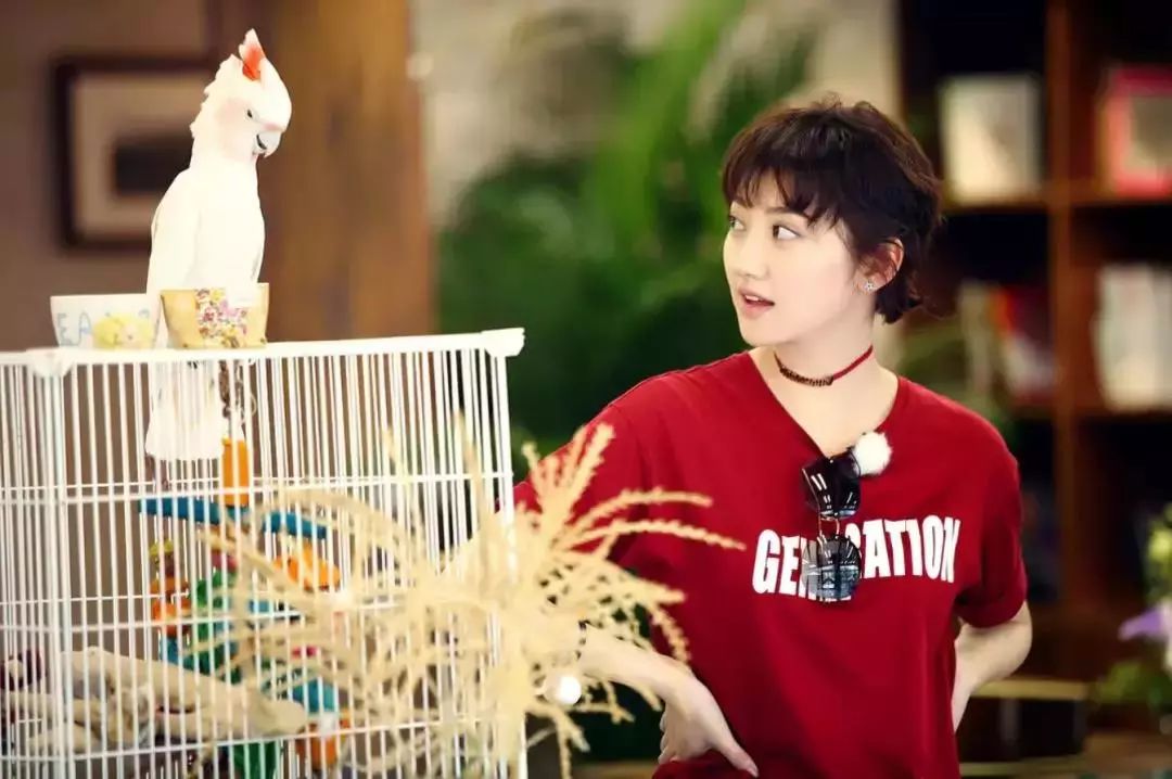 音乐综艺华晨宇_华晨宇去当嘉宾的综艺_华晨宇加入综艺节目,挑战全新角色