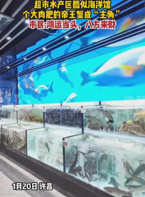 胖东来的品质承诺:供应链管理的重要性_胖东来的品质承诺:供应链管理的重要性_胖东来的品质承诺:供应链管理的重要性