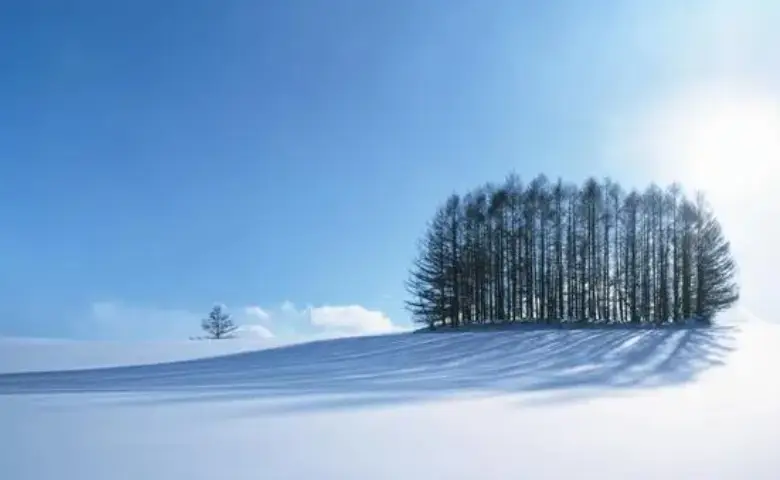 Tokenim钱包的网络安全保障 | 如何确保交易安全性?_保护钱包提升支付安全_安全交易保护