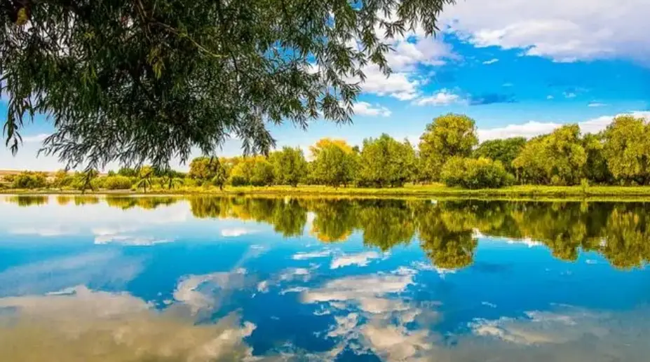 安全交易保护_保护钱包提升支付安全_Tokenim钱包的网络安全保障 | 如何确保交易安全性?