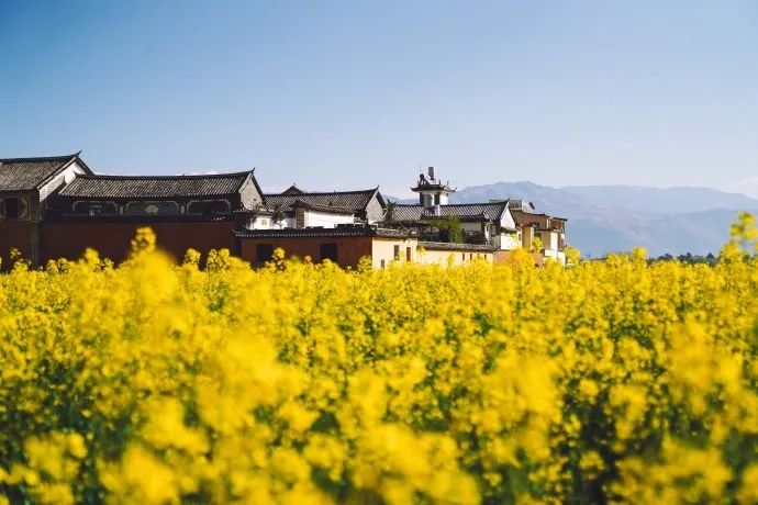 如何完成一次完美的自驾游,超强指南给你准备好了!