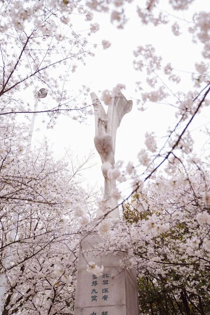 如何完成一次完美的自驾游,超强指南给你准备好了!