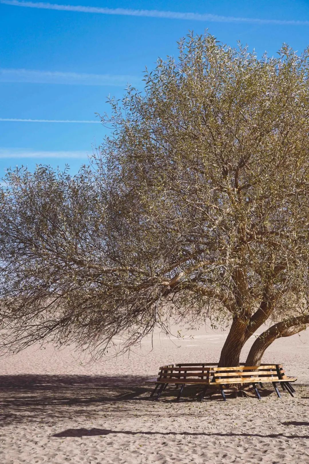 如何完成一次完美的自驾游,超强指南给你准备好了!