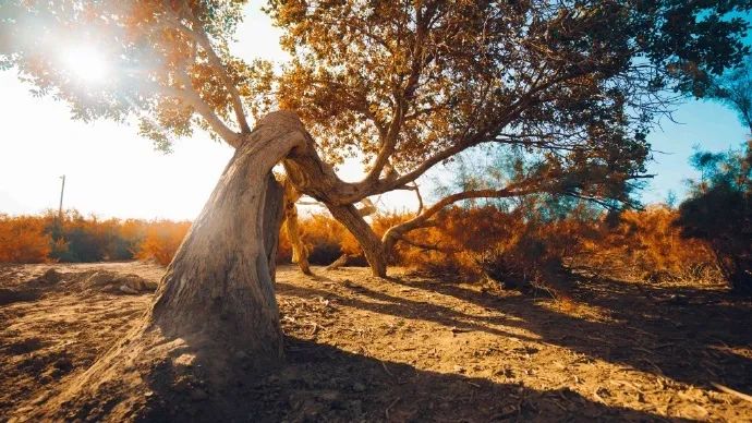 如何完成一次完美的自驾游,超强指南给你准备好了!