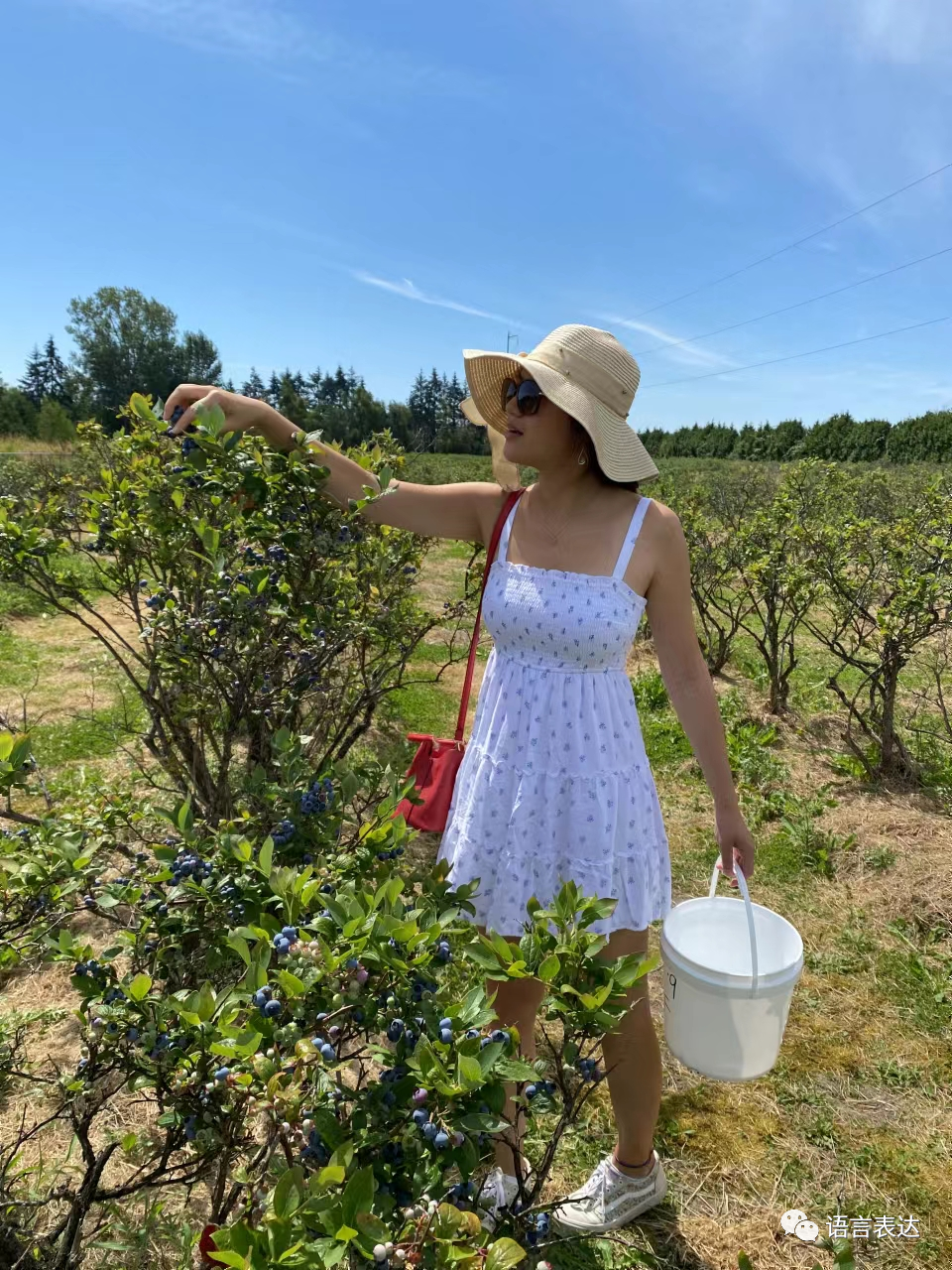 吕布笔下形象罗贯中的特点_吕布与罗贯中笔下的形象_吕布笔下形象罗贯中的故事