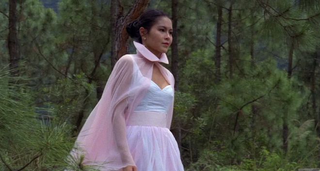 洪金宝与国际电影的交流_洪金宝国际影响力_电影洪金宝主演