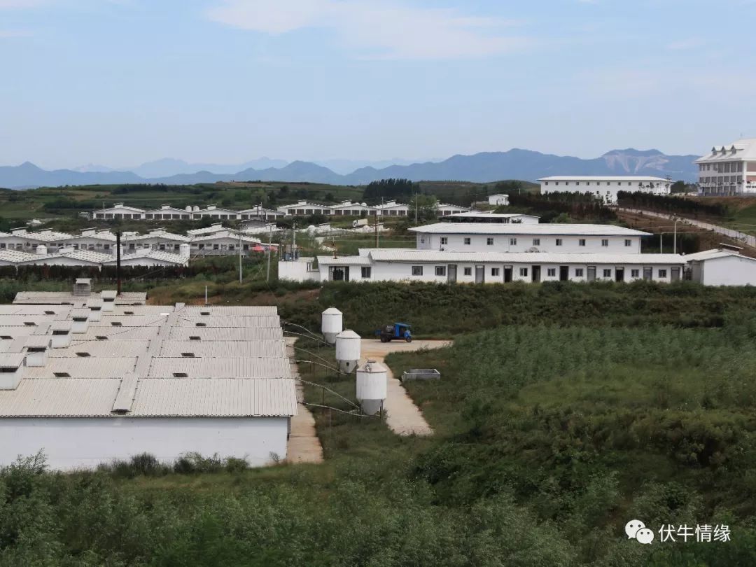 创业模式创新_创业的持续激情_秦英林的创业模式与持续发展