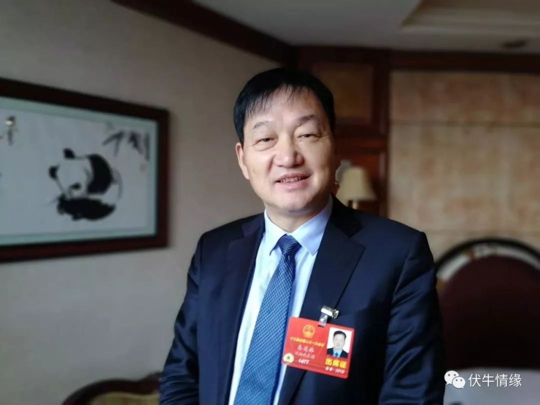 秦英林的创业模式与持续发展_创业模式创新_创业的持续激情