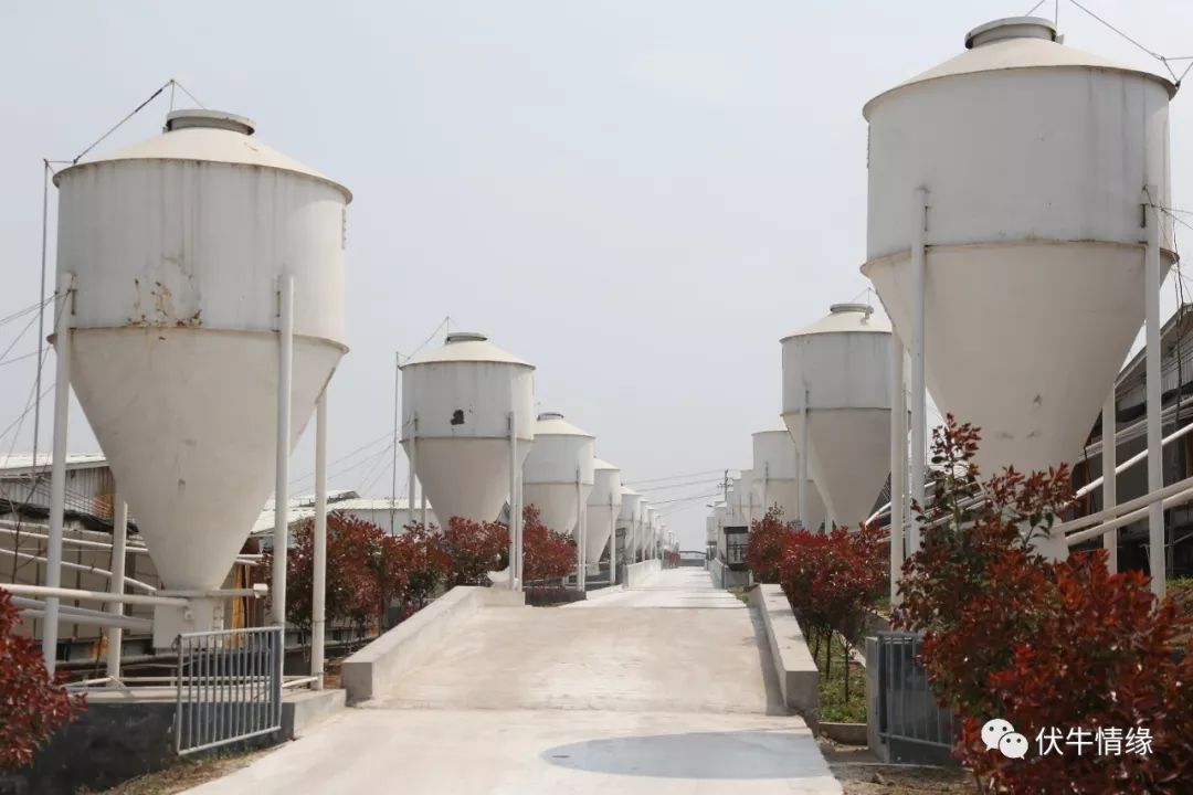 秦英林的创业模式与持续发展_创业模式创新_创业的持续激情