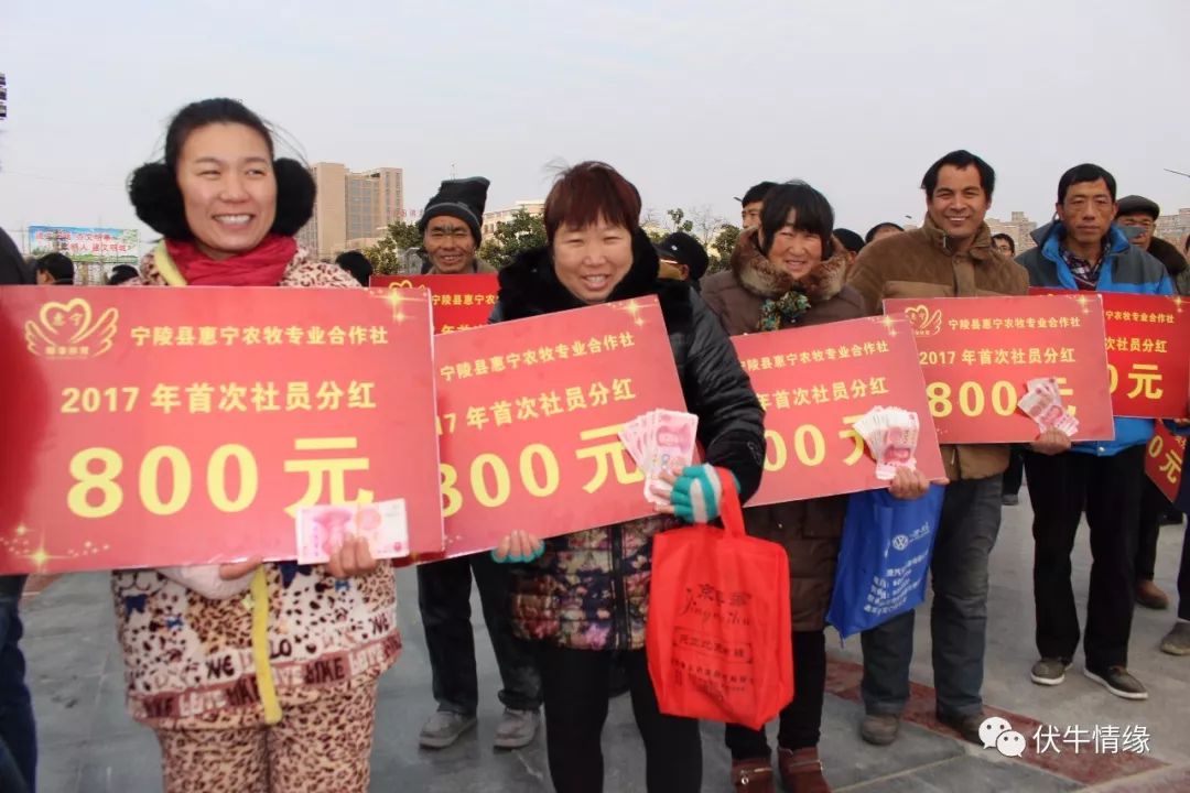 创业模式创新_创业的持续激情_秦英林的创业模式与持续发展