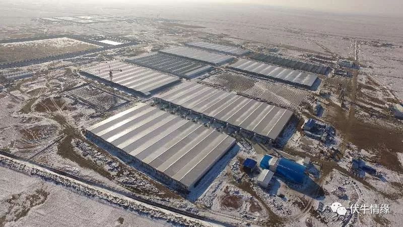 创业的持续激情_创业模式创新_秦英林的创业模式与持续发展