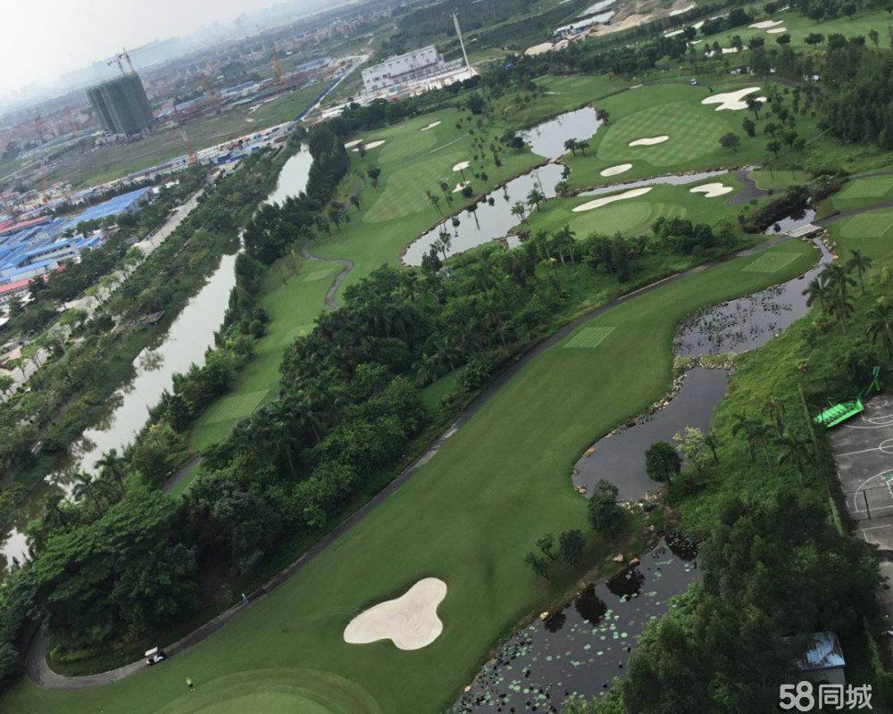 何享健旗下的上市公司_何享健投资_何享健与品牌价值的提升