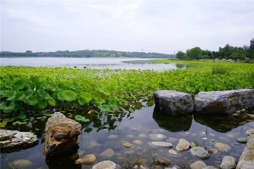 姚广孝与朱元璋的密切关系_朱棣和姚广孝关系_姚广孝