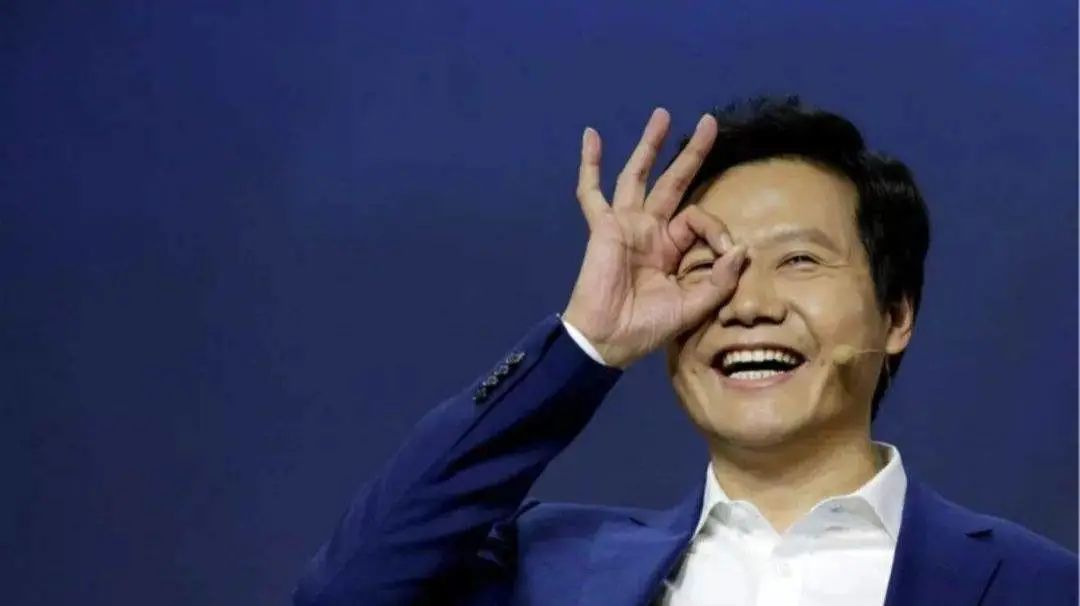 雷军与全球科技公司的竞争分析_雷军的竞争对手是谁_雷军的核心竞争力