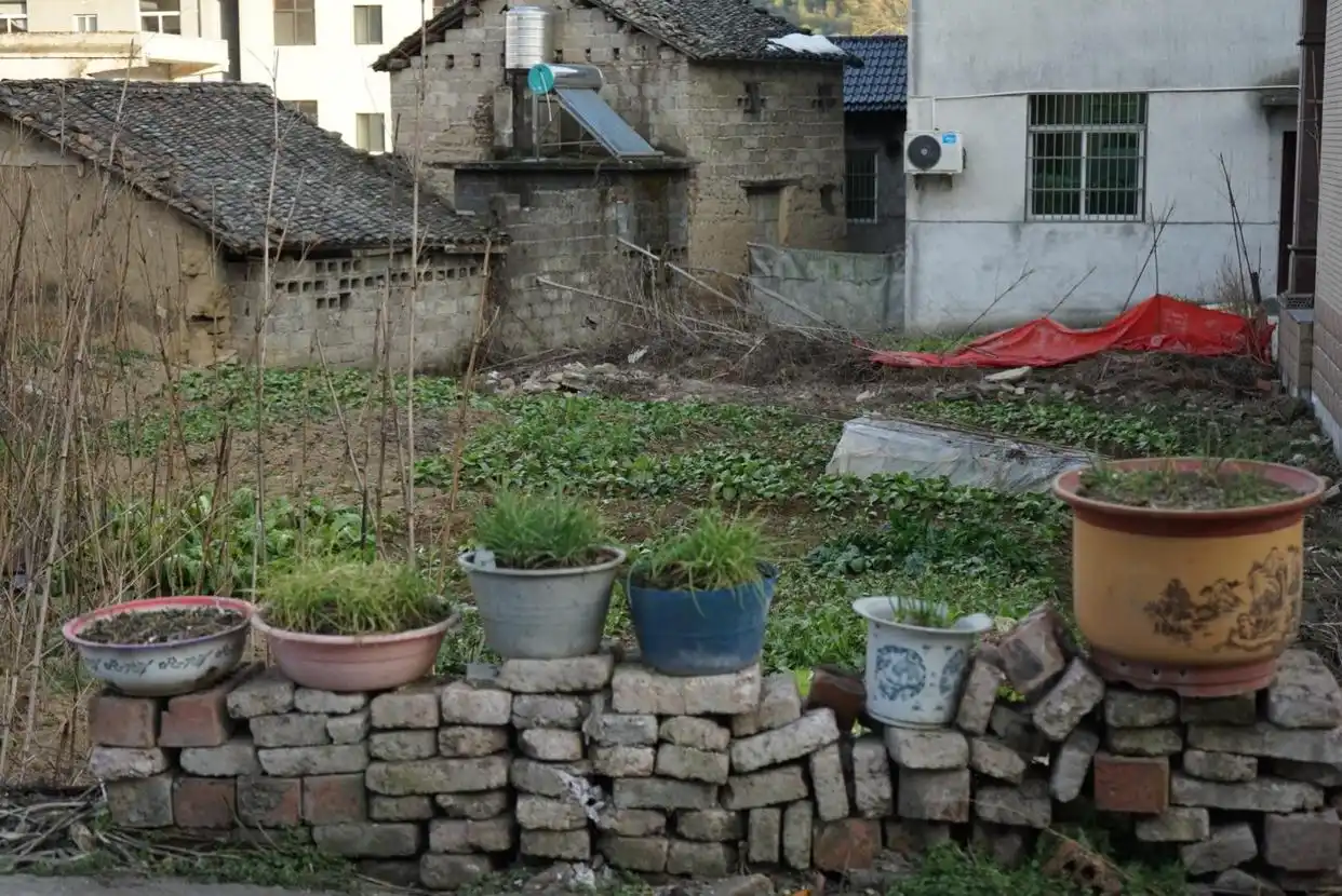 直觉决策案例_直觉决策能力从哪里来_黄峥的商业直觉与决策能力