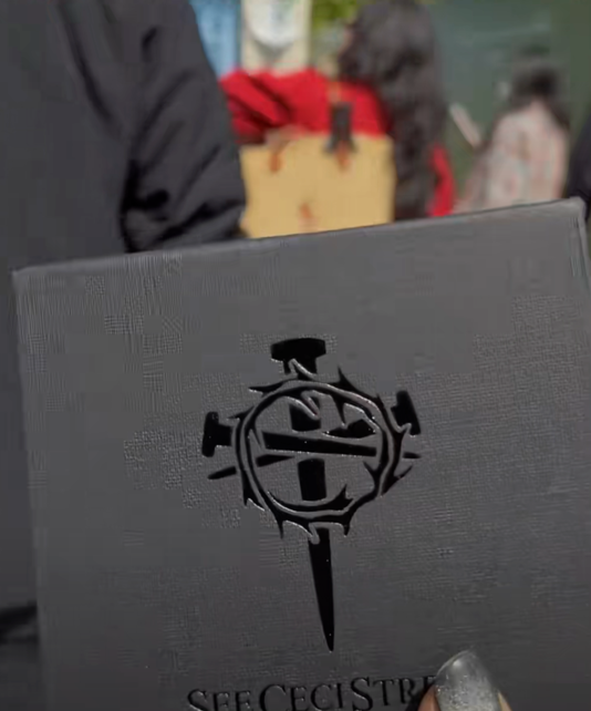 张柏芝综艺访谈2021_张柏芝央视_张柏芝在综艺节目中的表现