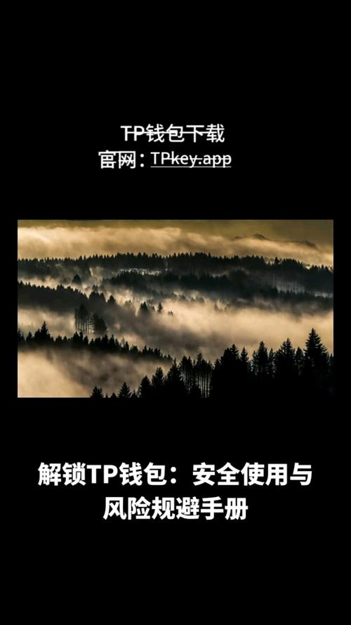 下载tp钱包最新版2025后的常见安全问题与解决方案_钱包app是干什么用的_下载tp钱包最新版2025后的常见安全问题与解决方案
