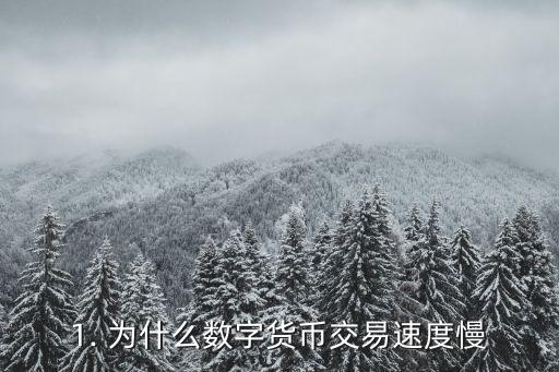 1. 为什么数字货币交易速度慢