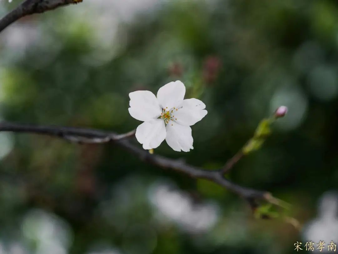 数字货币对经济运行的影响_数字货币对经济政策的影响_数字货币如何影响货币政策