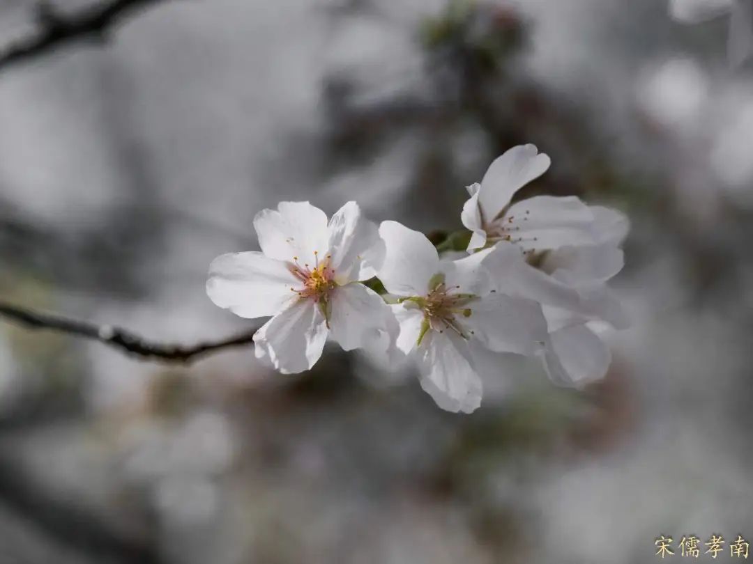 数字货币对经济政策的影响_数字货币对经济运行的影响_数字货币如何影响货币政策