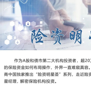 波动性流动资产举例_流动性和波动性_用USDT应对市场波动的流动性管理