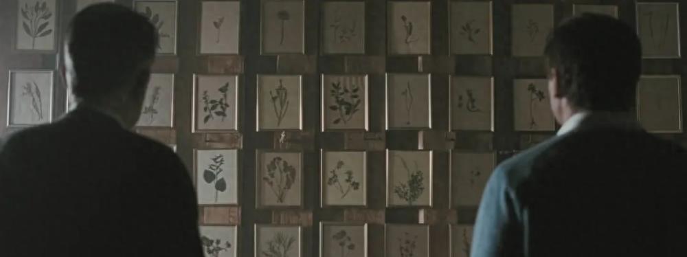 四大电影中的性别与权力议题_性别权力测量_从性别角度分析女权电影